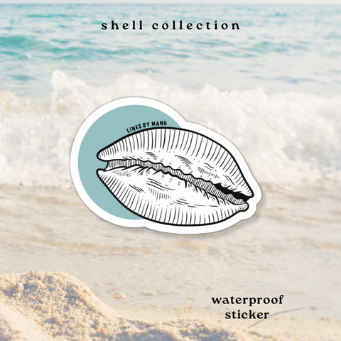 Cowrie Shell Sticker