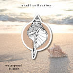 Cone Shell Sticker