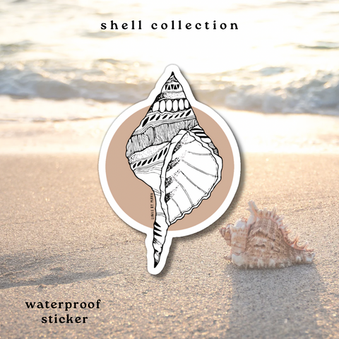 Cone Shell Sticker