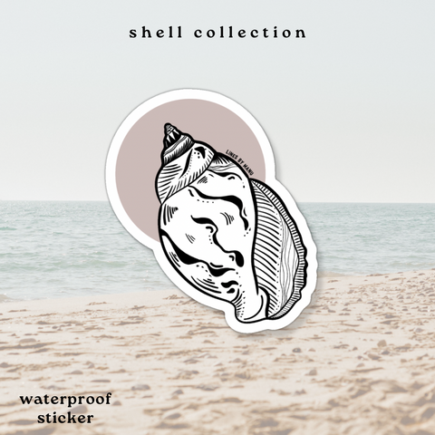 Volute Shell Sticker