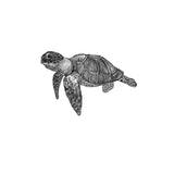 Turtle - Grey LS