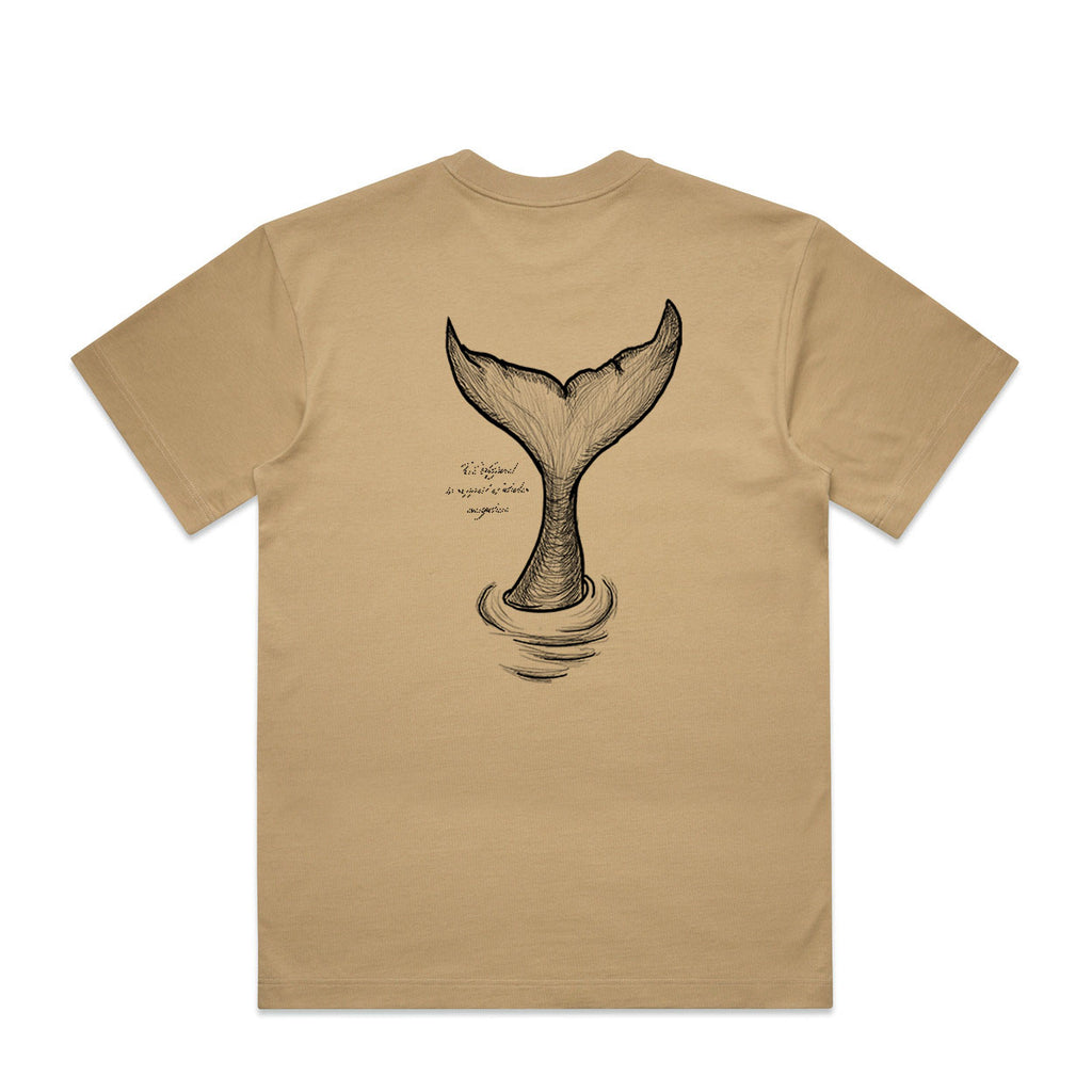 NEW Box cut - Whale Tail