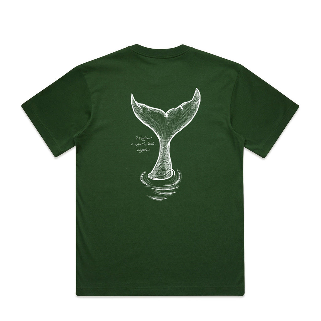 NEW Box cut - Whale Tail