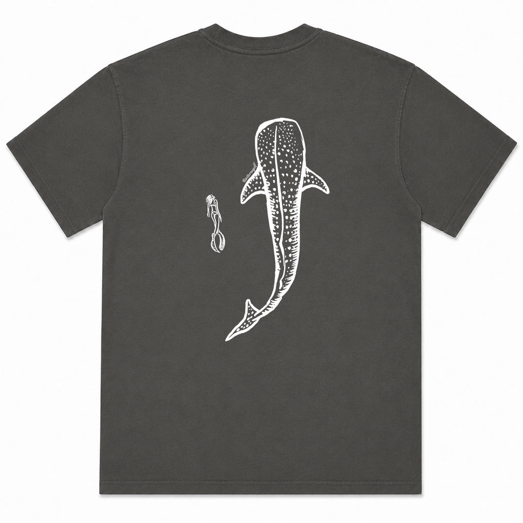Whale Shark - Pepper