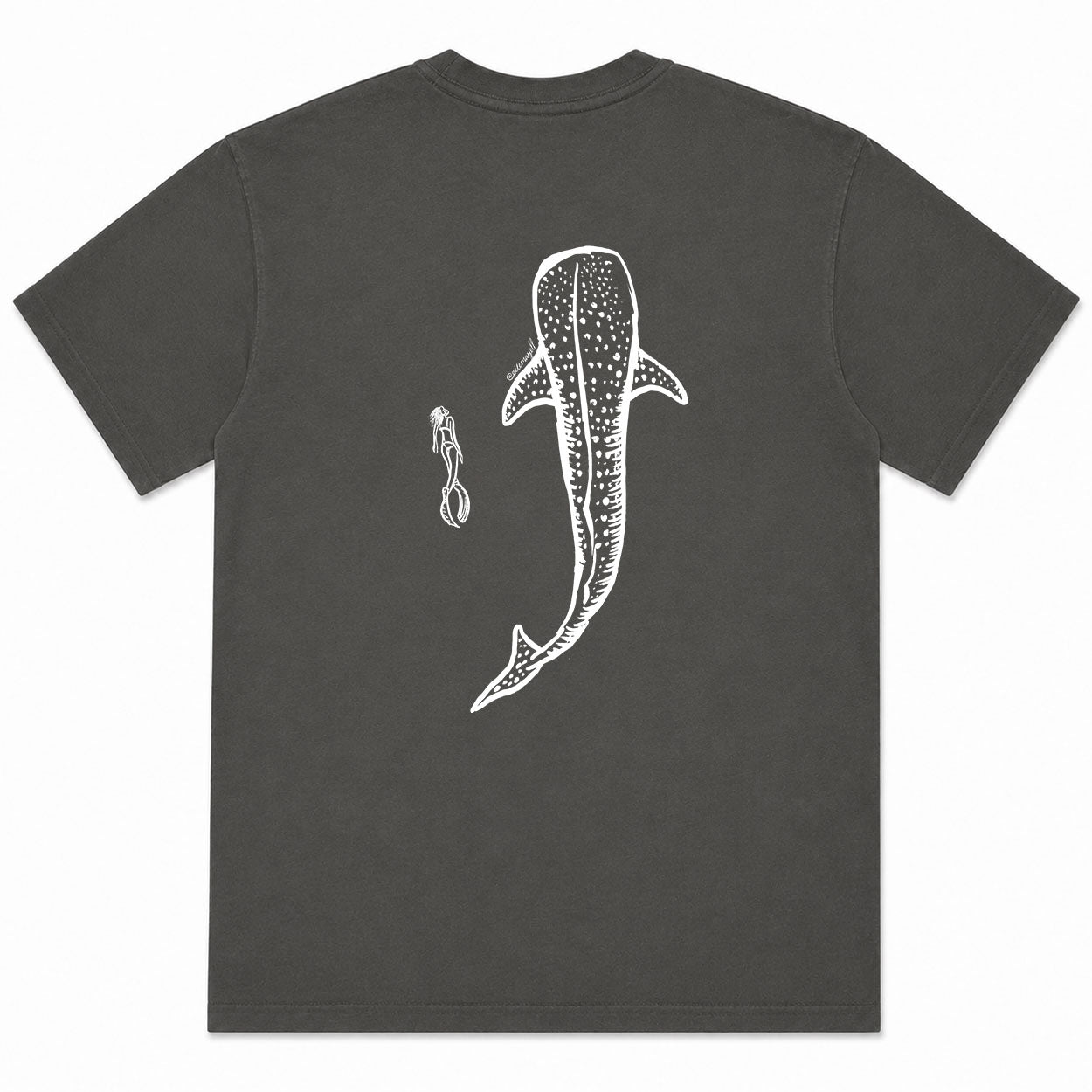Whale Shark - Pepper
