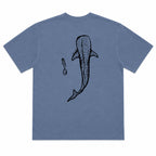 Whale Shark - Blue Jean