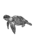 Turtle LS tee - Pistachio